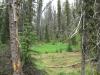 Zero down financing!! Grab your stake in Fabulous Florence Basin